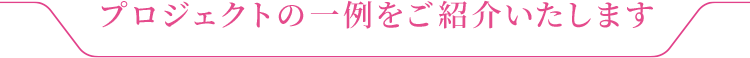 プロジェクトの一例をご紹介いたします